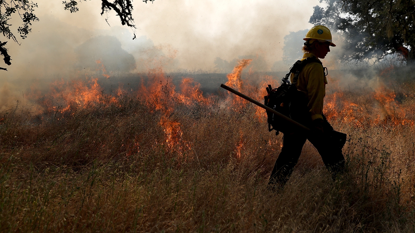 Controlled burns can provide years of protection against wildfires, new study shows