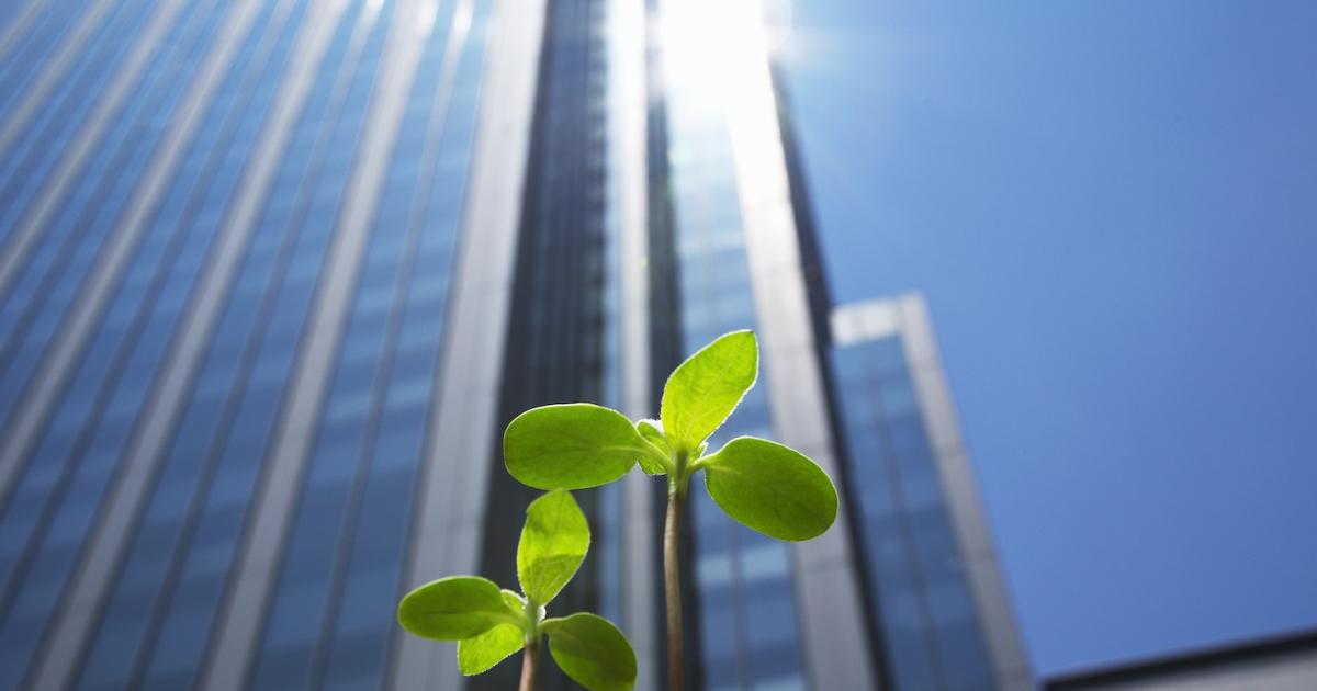Sustainable building groups combine to accelerate change | GreenBiz