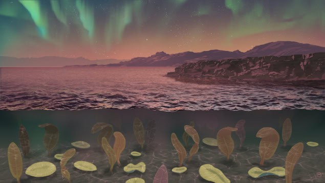 Ancient lull in Earth's magnetic field may have allowed large animals to evolve – Physics World