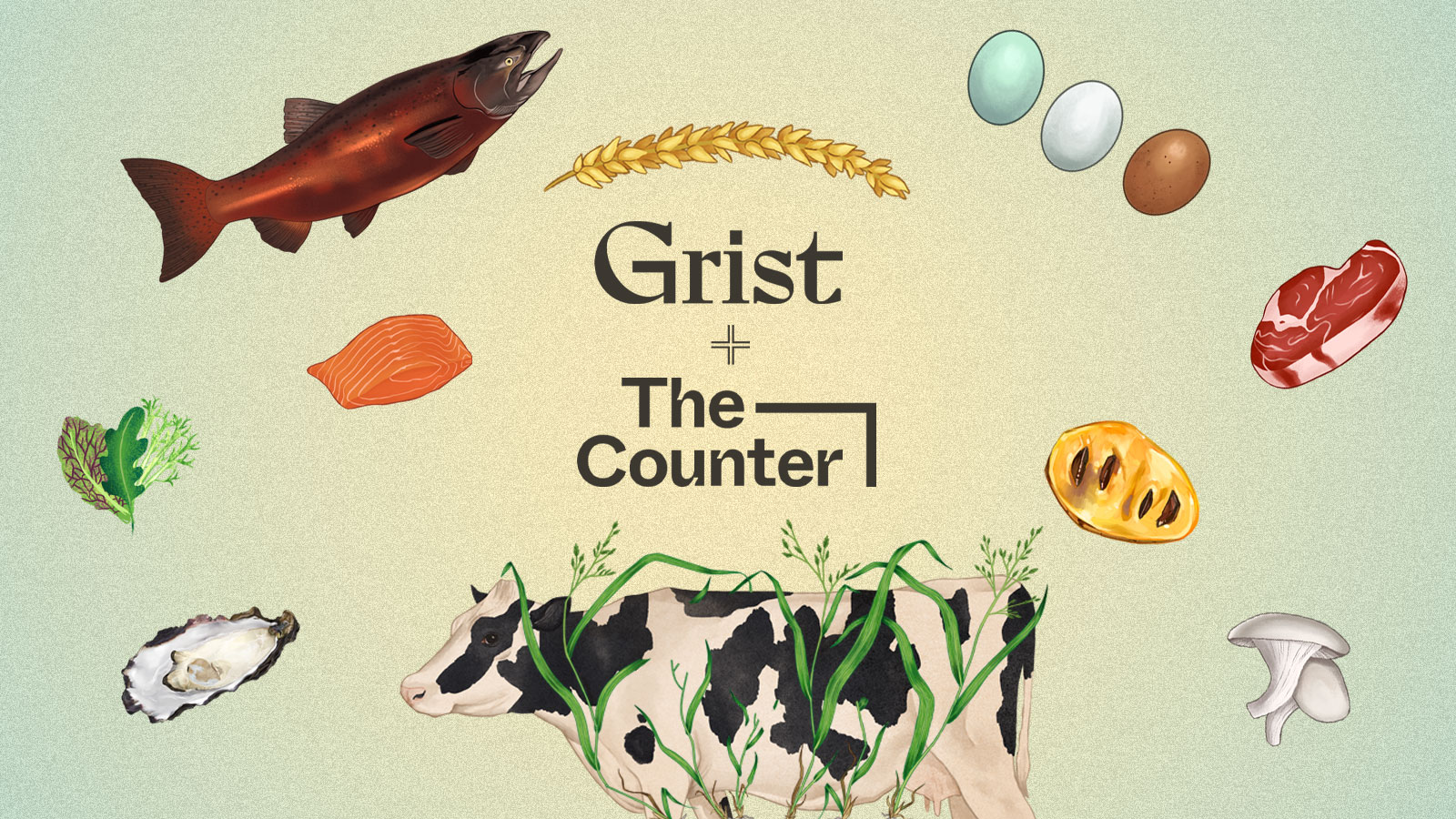 Grist acquires The Counter and launches food and agriculture vertical