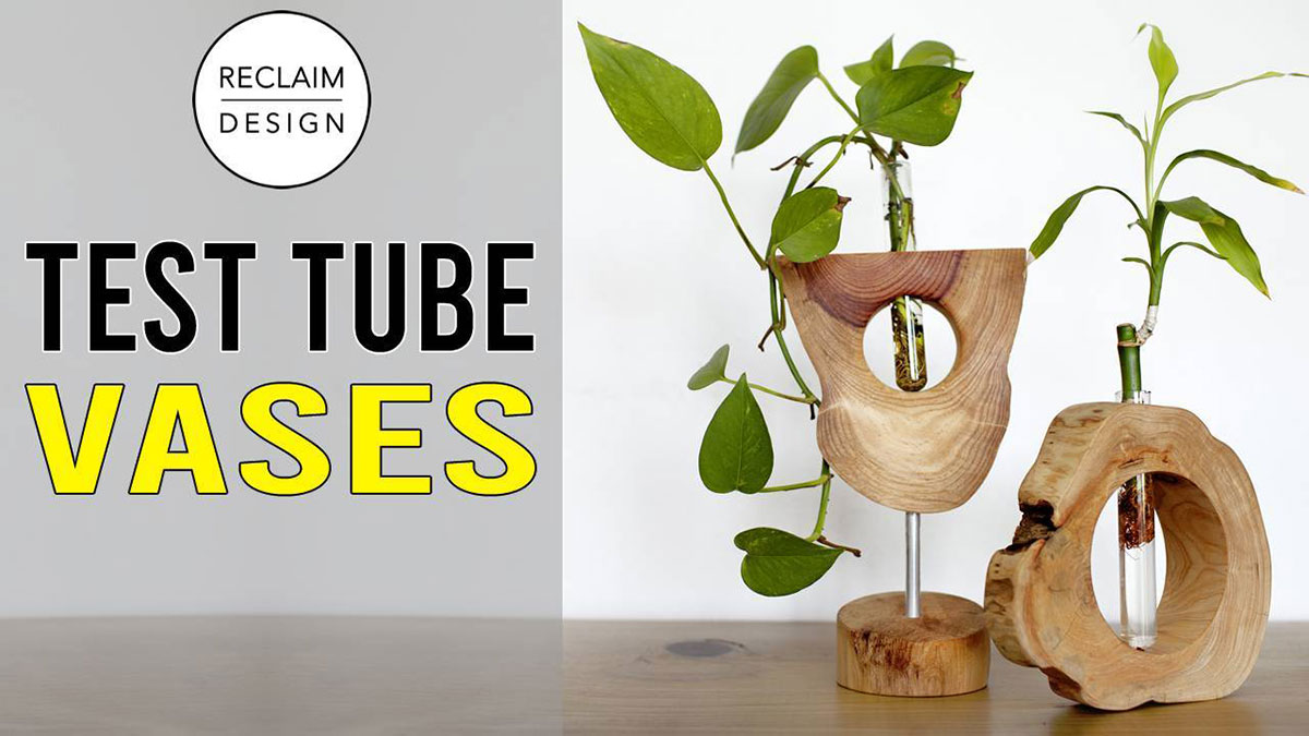 How To Make Elegant DIY Test Tube Vases With Live Edge Stands