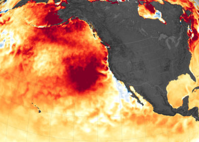 The Blob, a long-lasting marine heat wave, off the Pacific coast of North America, shown here in August 2019.