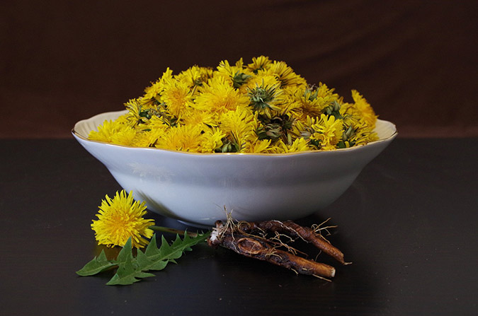 Using Dandelions: 31+ Recipes & Remedies - The Grow Network