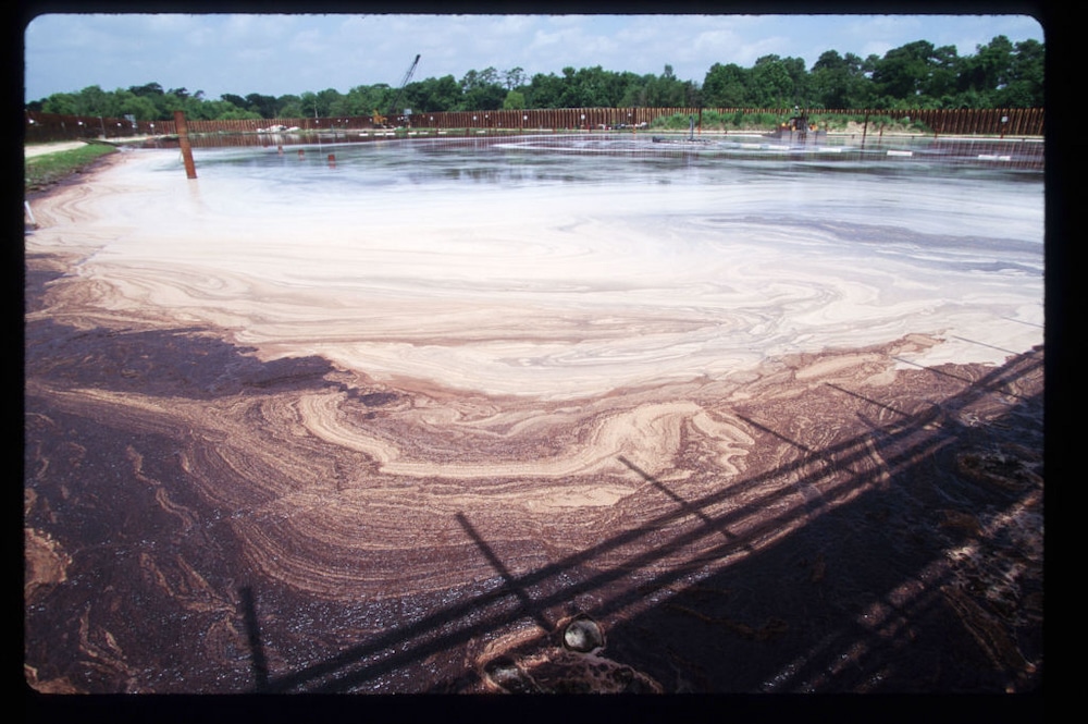 Bioremediation 101: Everything You Need to Know - EcoWatch