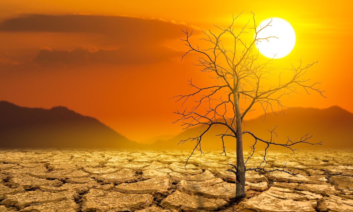 Can the Realities of “Danger Season” Pierce Climate Denial?