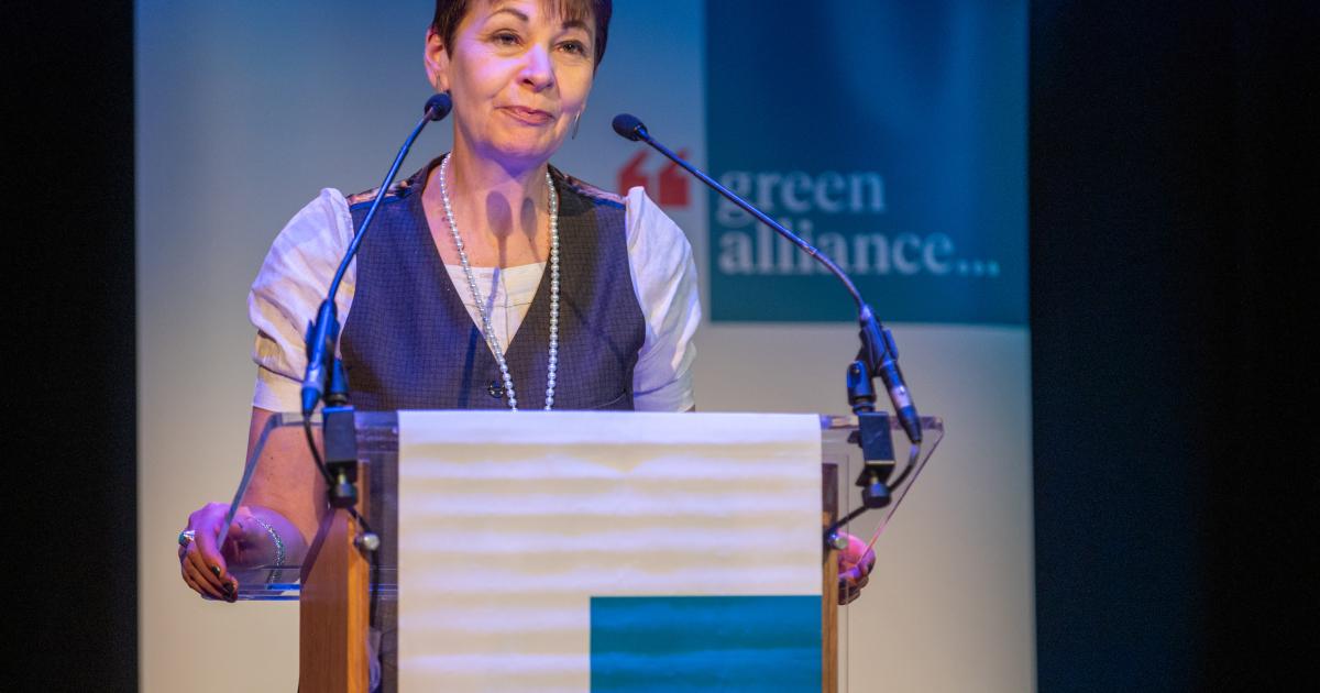 Caroline Lucas: environmental NGOs need to be more radical