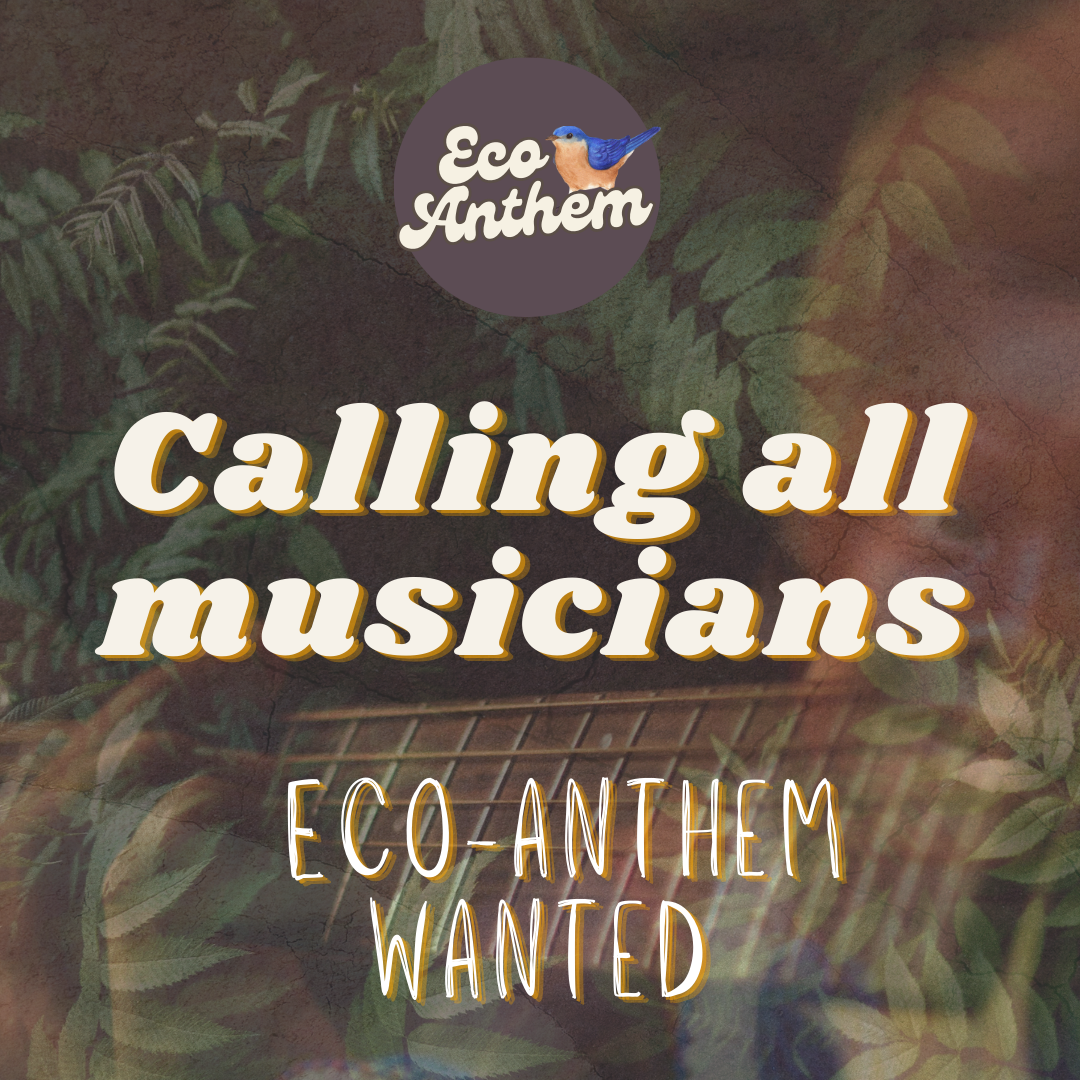 Could you be an eco-hit?