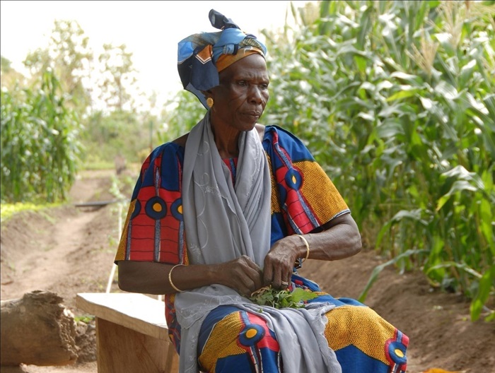 The president of the Dunkassa farming cooperative sits among her crops, which are watered by solar power. 