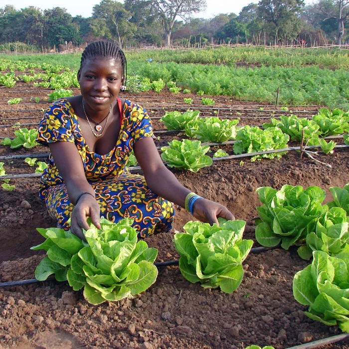 A farmer in the village of Bessassi shows off her lettuce crops.