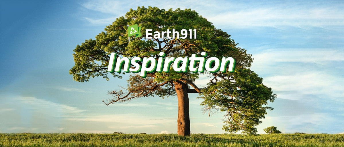Earth911 Inspiration: Like a Tree