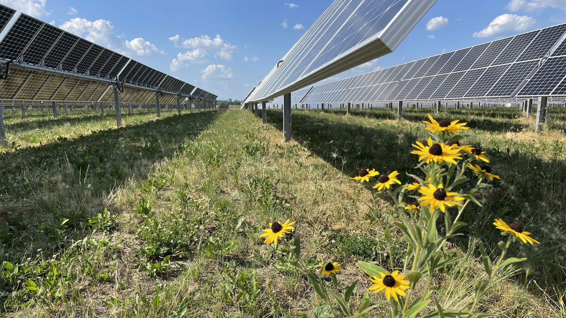 Eco-Friendly Energy: The Future of Solar with Sol Systems and American Farmland Trust (AFT)