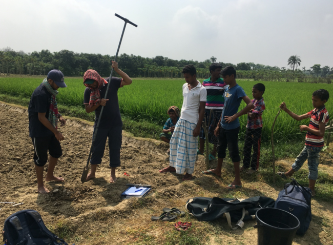 Abdullah Al Nahian and F.M. Arifur Rahman, coauthors of the study, drill a borehole to investigate the shallow deposits of the Ganges floodplain in Bangladesh. Hand drilling was used to reach depths up to 5.8 meters for this study.