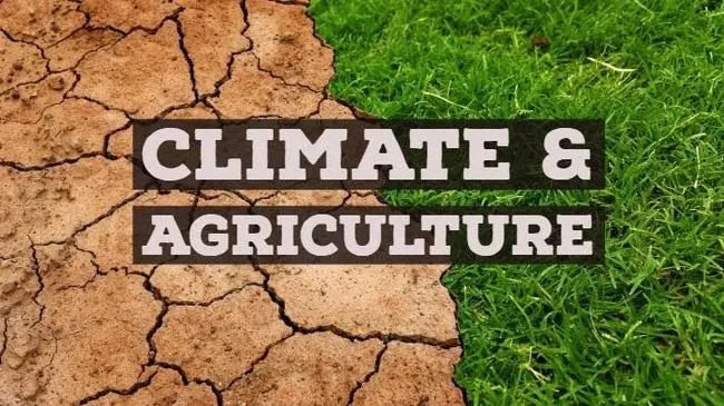 How Does climate change affect agriculture?