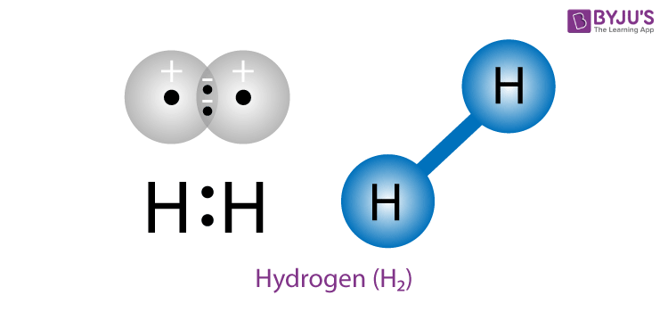 Hydrogen and Battery Electric Vehicles