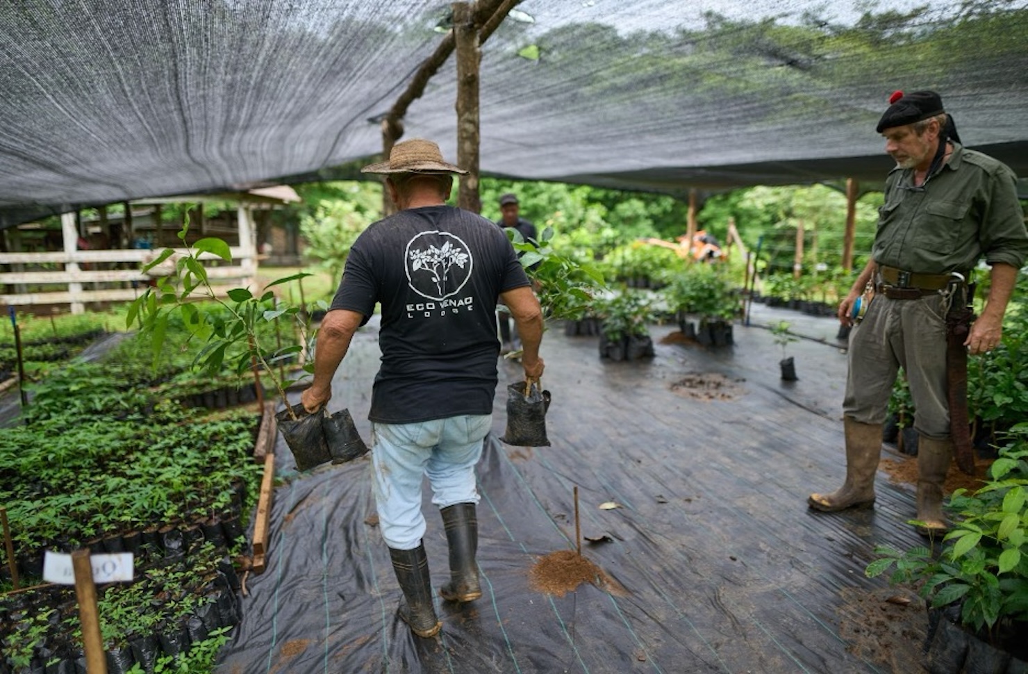 A photograph of the greenhouse for Ponterra's Azuero reforestation project.