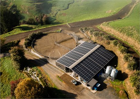 NZGIF’s investment in rural energy boosting uptake of solar on dairy farms