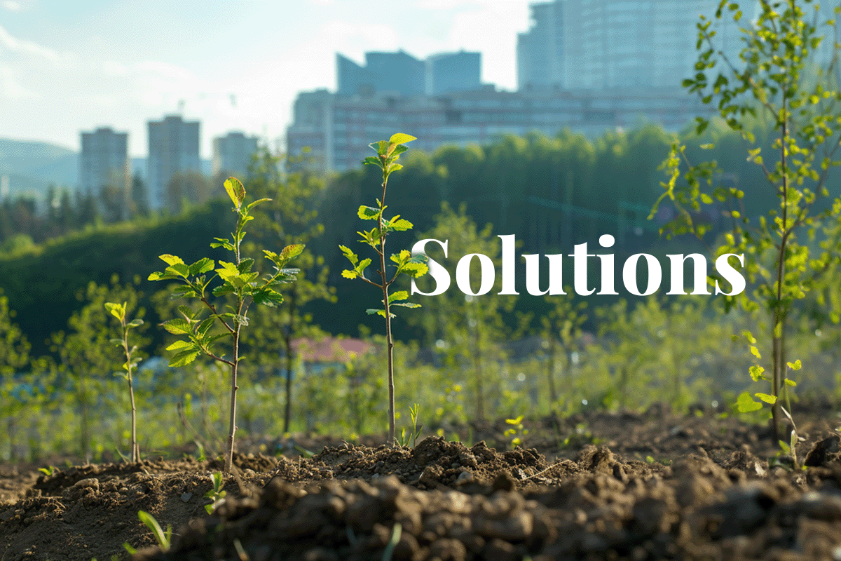 Overcoming sustainability challenges: practical solutions for your business