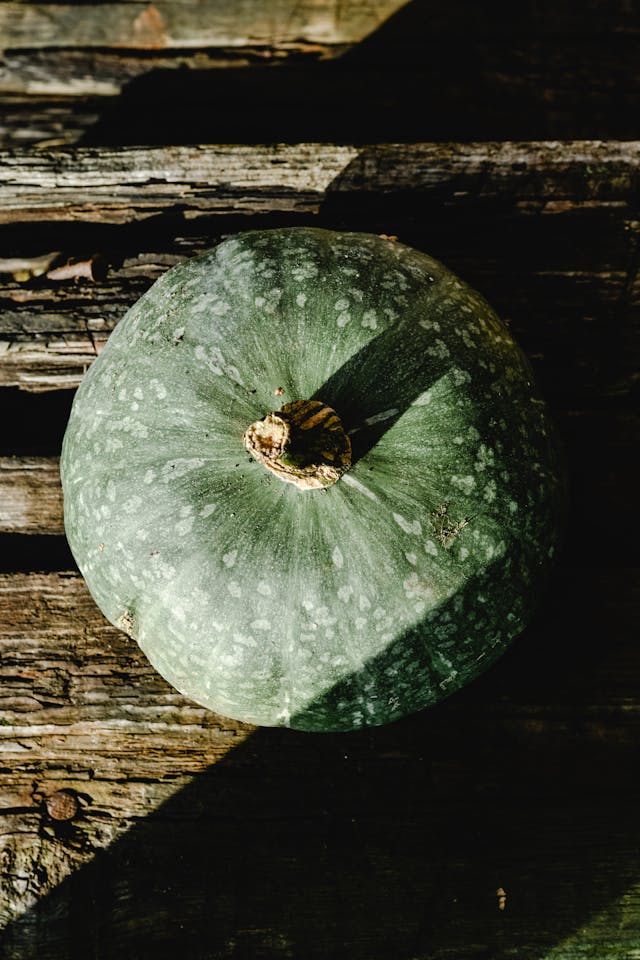 The Green Pumpkin: A Unique Twist on a Classic Fall Favorite - The Environmental Blog