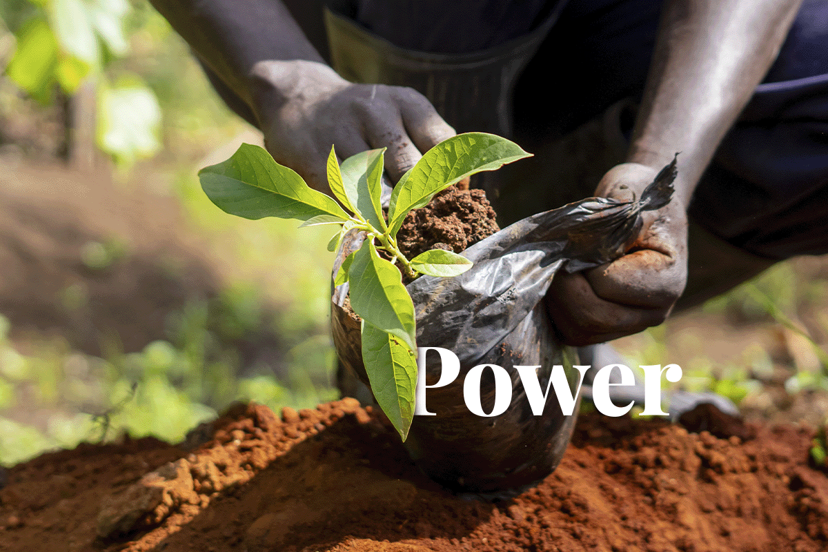 The power of DGB Group’s high-quality carbon projects in Kenya