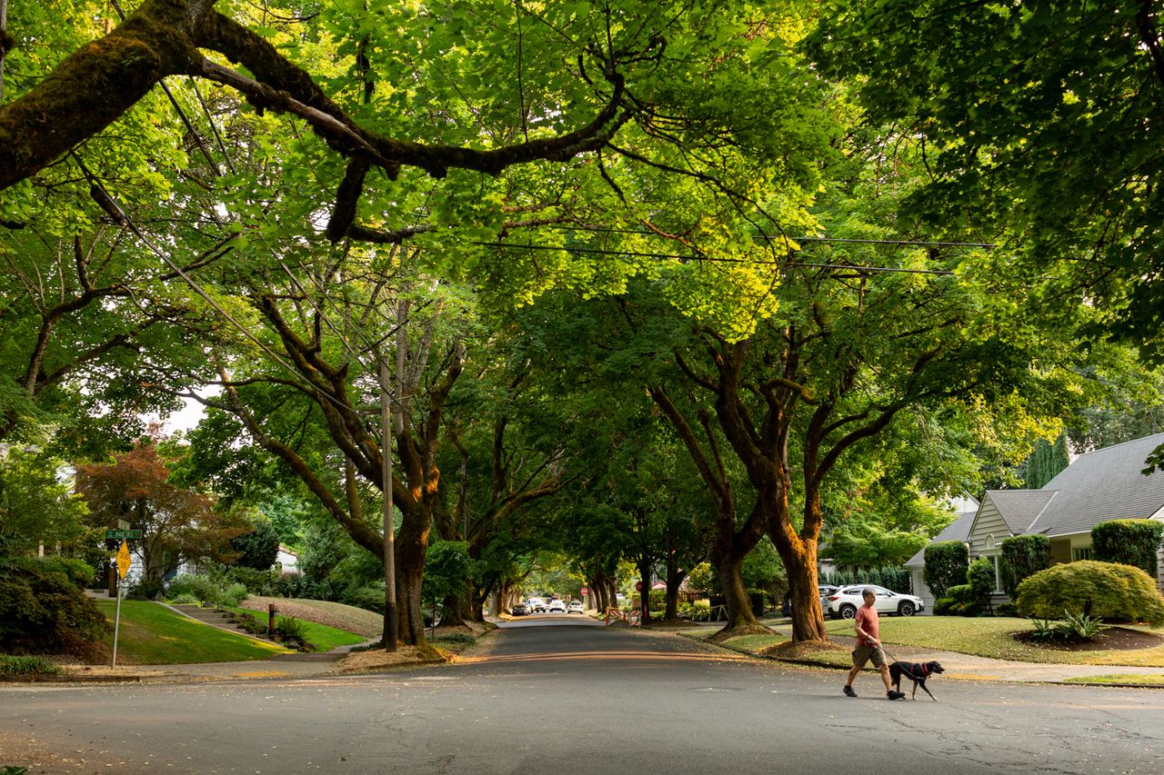 The Eastmoreland neighborhood in southeast Portland, where the tree equity score is 100.