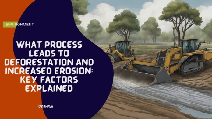 What Process Leads to Deforestation and Increased Erosion: Key Factors Explained