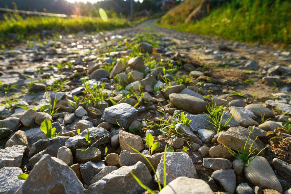 Creating a Natural Oasis: River Rock for Landscaping Techniques - The Environmental Blog